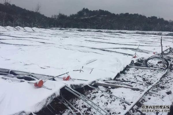 大棚被雪壓塌能不能頂起來(lái)